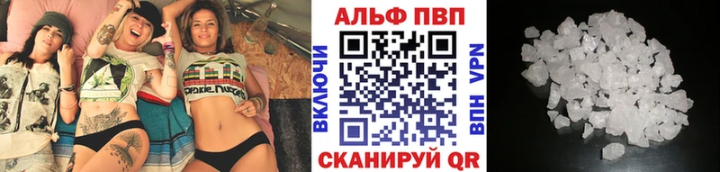 А ПВП СК КРИС  закладки  Гатчина 