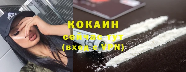 амф Вяземский