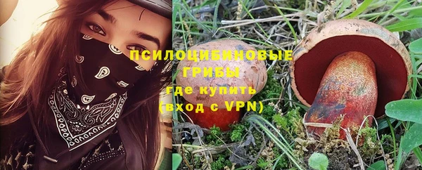 амф Вяземский