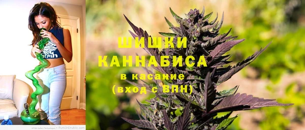 амф Вяземский