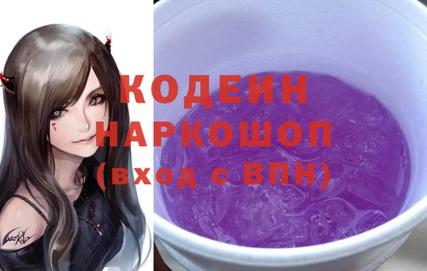амф Вяземский